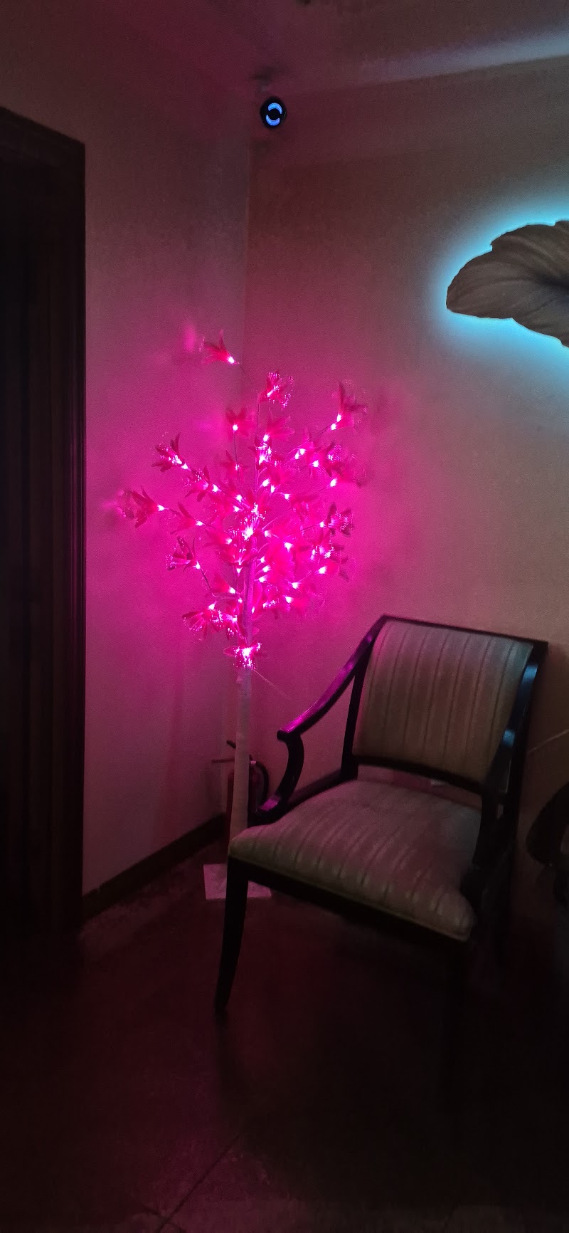 Arcadia Massage Spa, massage spa in Chula Vista, CA, photo 6 of 9